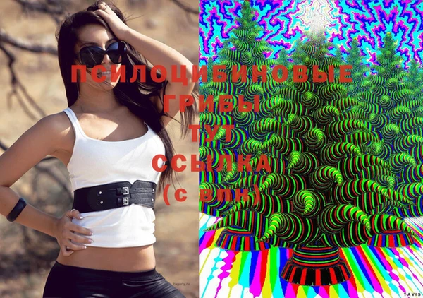 альфа пвп Армянск