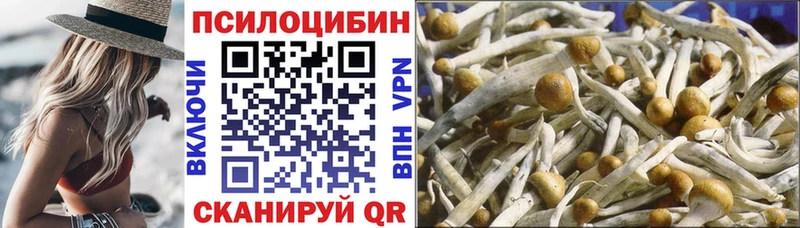 ссылка на мегу сайт  Лермонтов  Псилоцибиновые грибы GOLDEN TEACHER  купить закладку 