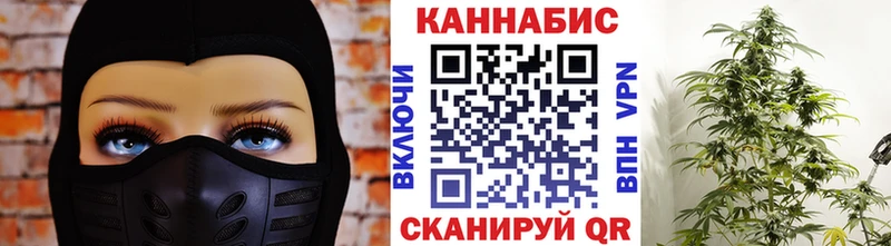 Марихуана сатива  Лермонтов 